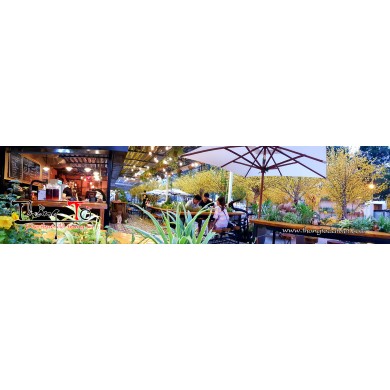 mẫu cây mai giả đẹp mẫu cây mai giả đẹp